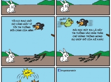 Những bài học kinh nghiệm rút ra trong cuộc sống