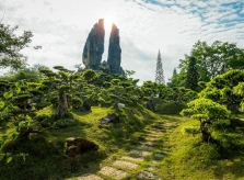 Tea Resort - Địa điểm lý tưởng cho những người yêu thiên nhiên