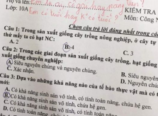 Quên ghi tên trong bài kiểm tra, học sinh được thầy nhắc khéo bằng thơ
