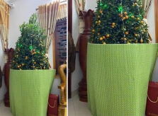 Ông ngoại 'biến hình' cây quất khi cháu đến chơi