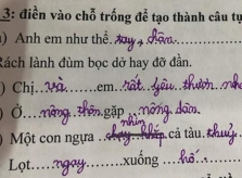 Cách hoàn chỉnh thành ngữ đầy sáng tạo của học sinh