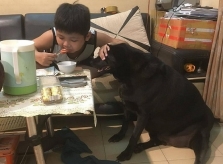 Cậu chủ che mắt cún khi ăn