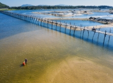 Cây cầu gỗ dài nhất Việt Nam