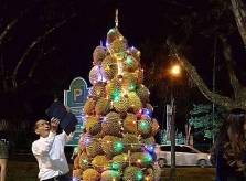 Cây thông Noel làm bằng sầu riêng