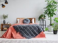 Cây xanh phòng ngủ cho hội 'nghiện' nhà