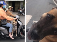 Cún cưng rạng rỡ khi cô chủ chở đi chơi