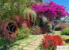 DaLat Fairytale Land – Làng Cổ tích đáng yêu giữa ngàn hoa Đà Lạt