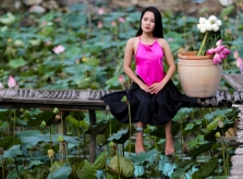 Đầm sen rộng hàng nghìn mét vuông ở Sài Gòn nở rộ