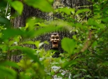 Chuyến đi bộ 'săn' đầu búp bê như phim kinh dị ở Mỹ