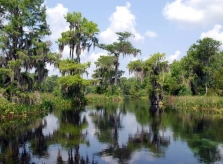 10 di sản thế giới bên bờ vực nguy hiểm