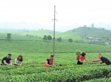 Trải nghiệm mùa Hè 2019 với chùm tour mới