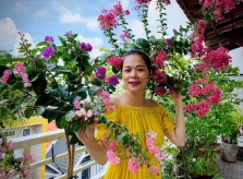 Vườn ban công 4 mùa nở hoa của Mỹ Lệ
