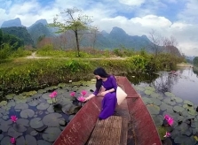 Những điều cần biết khi 'săn' hoa súng ở hai miền