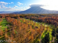 Hình ảnh mùa thu vàng tuyệt đẹp trên hòn đảo Hokkaido