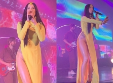 Phạm Hương chỉ trích ca sĩ Mỹ mặc áo dài không quần: 'Phản cảm'