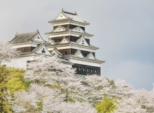 Lâu đài Nhật cho khách ngủ qua đêm giá 220 triệu đồng