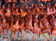 Loài gặm nhấm nghe tên đã nổi da gà trở thành món ăn vặt “lãi khủng”