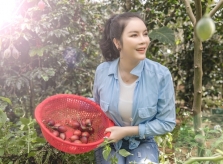 Lý Nhã Kỳ thu hoạch rau