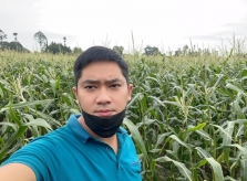 Minh Luân 'giải cứu' ba tấn ngô