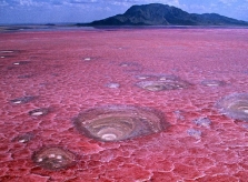 Những bãi biển có 1-0-2 khiến du khách trố mắt ngạc nhiên