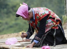 Ảnh: Lễ cấp sắc 12 đèn kéo dài 5 ngày của người Dao tiền