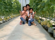 Nông trại dưa của diễn viên Nguyệt Ánh