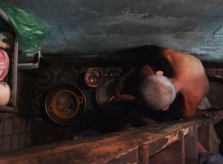 Cuộc sống trong ngôi nhà bề rộng một mét