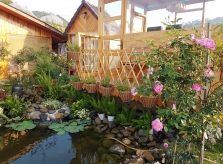 Gia đình Đà Lạt sống trong nhà gỗ giữa vườn hồng 1.000 m2