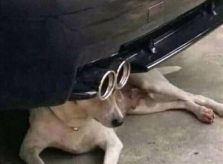 Những bức ảnh phải nhìn đi nhìn lại vài lần mới nhận ra
