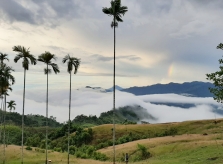Ngắm mây trên núi Ngọc Linh