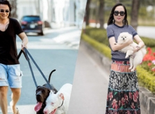 Đàn chó cưng của Quách Ngọc Ngoan - Phượng Chanel