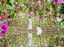 Triển lãm 'kính vạn hoa' như cổ tích ở Nhật