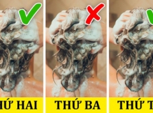 12 thói quen không ngờ khiến tóc nhiều gàu
