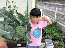 Vườn rau giúp gia đình Việt kết giao được nhiều hàng xóm Nhật