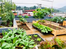 Gia đình miền núi làm vườn sân thượng kiểu châu Âu
