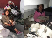Bỏ nhà đi lang thang vì chồng thích ăn thịt chó
