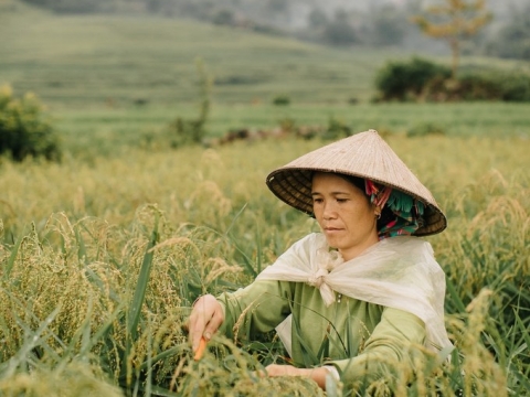 Hari Won - Trấn Thành ngọt ngào trong bộ ảnh mới