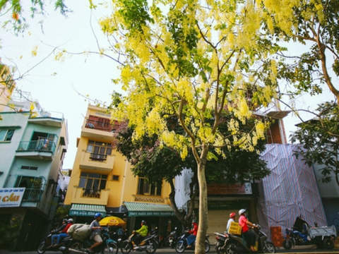 Hari Won - Trấn Thành ngọt ngào trong bộ ảnh mới