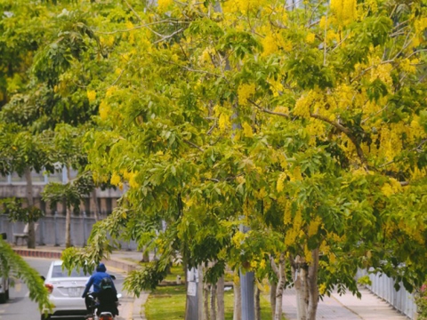 Bắc bộ cảm xúc qua ống kính nhiếp ảnh gia nước ngoài