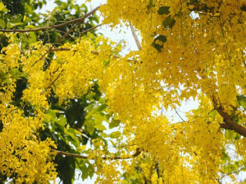 Những làng nghề thực phẩm khổng lồ của Trung Quốc qua ảnh