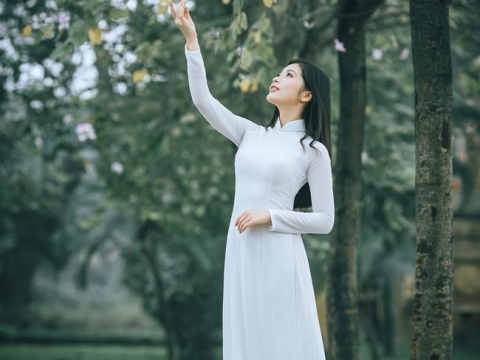 Khách xếp hàng chụp ảnh với nấc thang 
