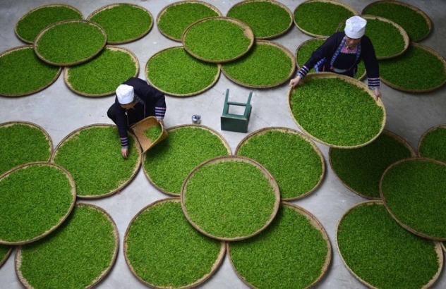 Những làng nghề thực phẩm khổng lồ của Trung Quốc qua ảnh