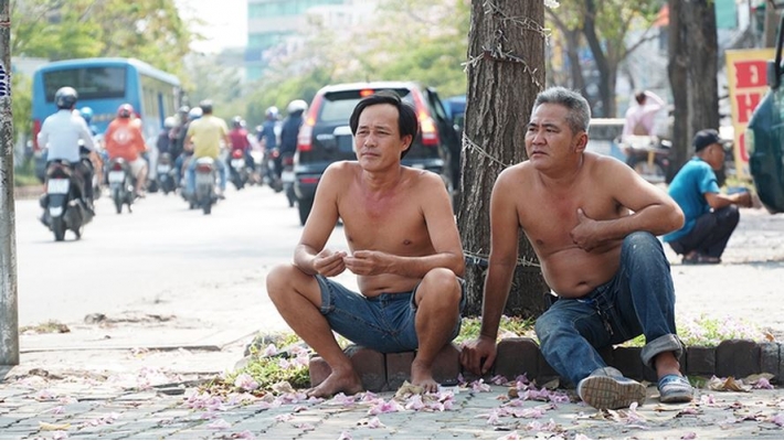 Hàng trăm cây hoa kèn hồng nở rộ giữa trung tâm Sài Gòn