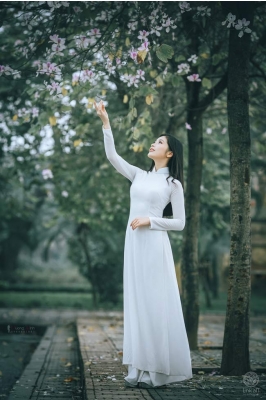 Thiếu nữ đẹp như tranh vẽ khoe sắc bên bốn mùa hoa