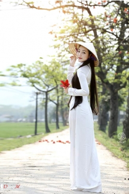 Thiếu nữ đẹp như tranh vẽ khoe sắc bên bốn mùa hoa