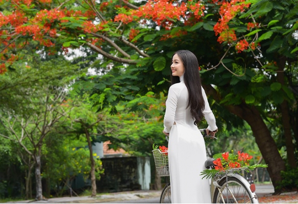 Tinh khôi tà áo trắng nữ sinh khi mùa phượng vĩ về
