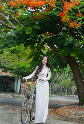 Tinh khôi tà áo trắng nữ sinh khi mùa phượng vĩ về