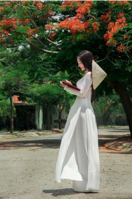 Tinh khôi tà áo trắng nữ sinh khi mùa phượng vĩ về