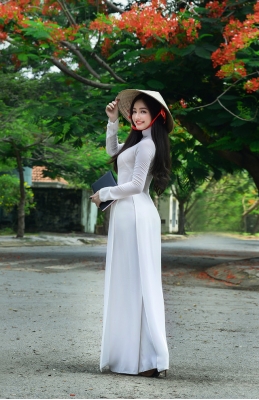 Tinh khôi tà áo trắng nữ sinh khi mùa phượng vĩ về