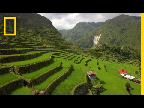 Đến Philippines, ngắm vẻ đẹp ruộng bậc thang là di sản thế giới
